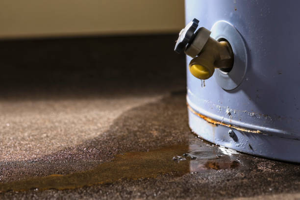 Best Professional water damage repair  in Seabrook, TX