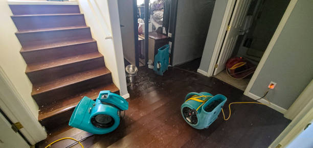 Best Emergency water damage restoration  in Seabrook, TX