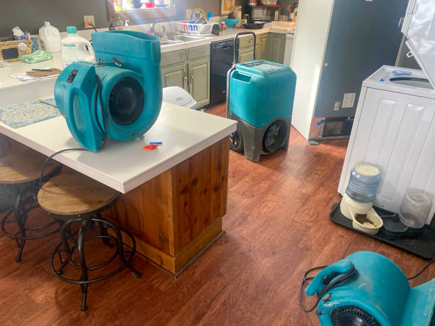  Seabrook, TX Water damage restoration Pros
