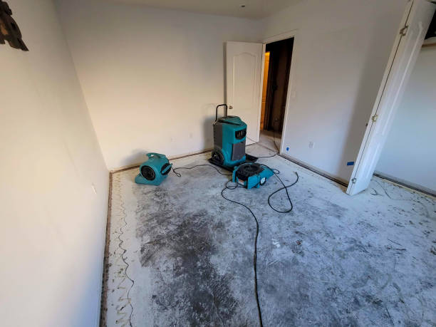 Water damage restoration mold remediation in Seabrook, TX