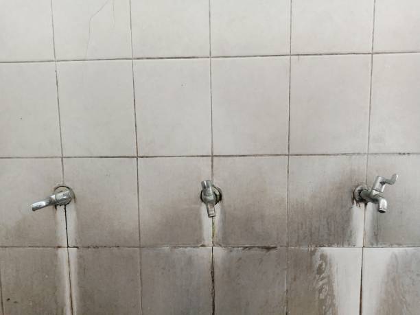 Best 24-hour water damage restoration  in Seabrook, TX