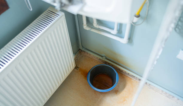 Best Water damage cleanup near me  in Seabrook, TX